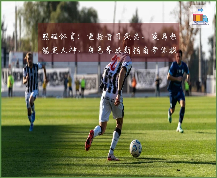 熊猫体育：重拾昔日荣光，菜鸟也能变大神，角色养成新指南带你找回手感